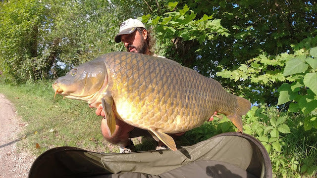 BIG ONE NEL LAGO DI MANTOVA