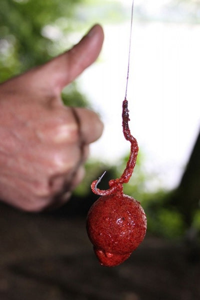 IB Carptrack Amino Gel