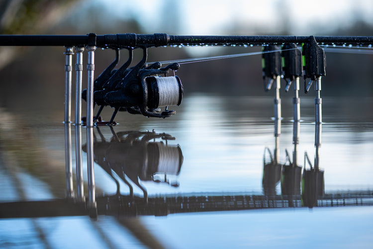 KORDA CANNE CARPFISHING