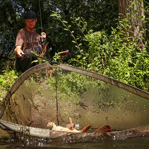 RECUPERO E MANTENIMENTO CATTURE