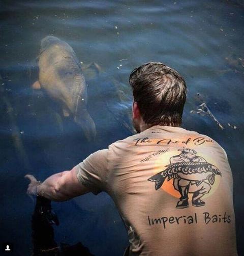 IMPERIAL BAITS T-SHIRT -"THE ART OF BAIT"