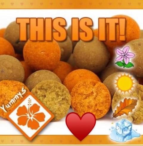 IB CARPTRACK SCOPANA.LOVE BOILIES