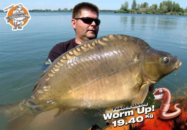 Carica immagine in Galleria Viewer, IB Carptrack Worm Up Mix - Base Mix Carpfishing
