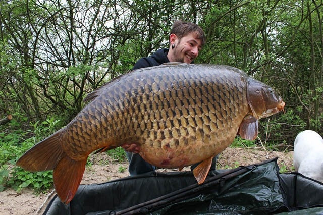 Carica immagine in Galleria Viewer, IB Carptrack Worm Up Mix - Base Mix Carpfishing
