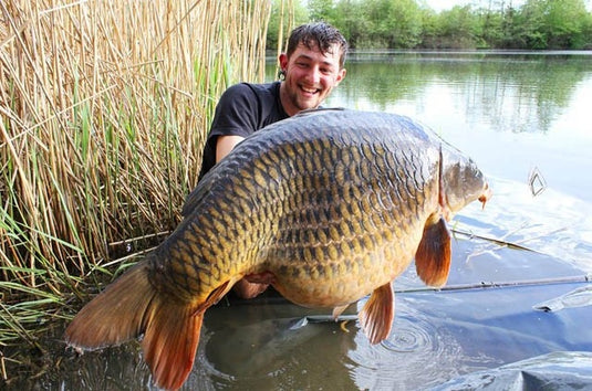 IB Carptrack Worm Up Mix - Base Mix Carpfishing