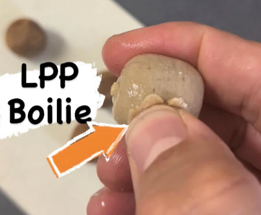 Load image into Gallery viewer, IB CARPTRACK LPP BOILIES
