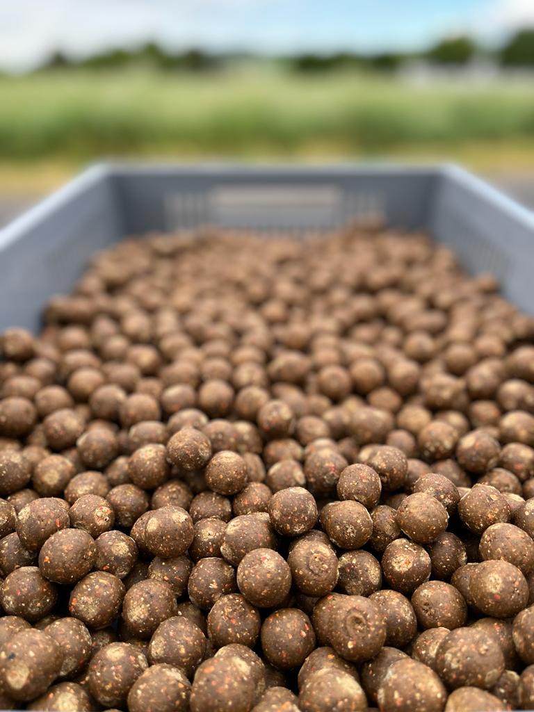 Load image into Gallery viewer, IB SPECIAL MENU CRAWFISH BLACK &amp; WHITE BOILIES 5KG + INLIQUID, POWER POWDER, POP UPS
