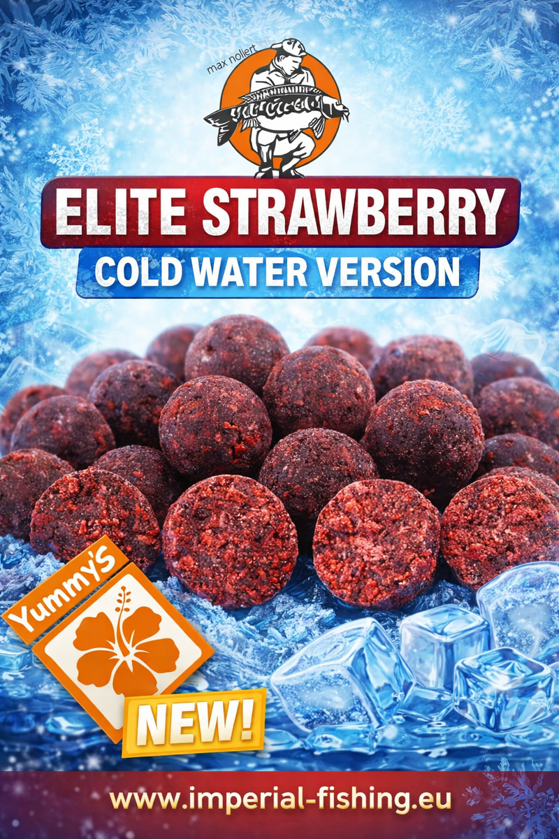 Carica immagine in Galleria Viewer, IB Carptrack Elite Strawberry Boilie Cold Water

