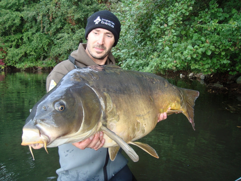 Load image into Gallery viewer, IB CARPTRACK MONSTER-LIVER MIX
