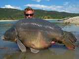 IB CARPTRACK MONSTER-LIVER BOILIE