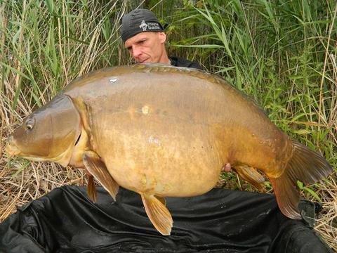 IB CARPTRACK LIQUID-POWDER PASTE MKII - MONSTER’S PARADISE