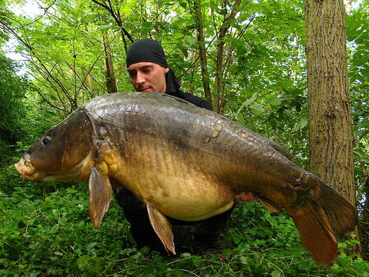 MÉLANGE D'ÉPICES ORIENTALES OSMOTIQUE IB CARPTRACK
