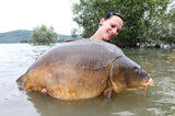 IB BOILIES CARPTRACK BIG FISH