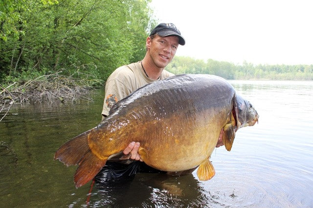 Load image into Gallery viewer, IB CARPTRACK ELITE BOILIE

