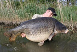 IB CARPTRACK PROTEIN CONCENTRATE