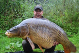 IB CARPTRACK LIQUID-POWDER PASTE MKII - CRAWFISH