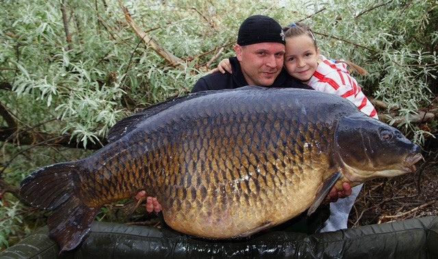 Load image into Gallery viewer, IB CARPTRACK ELITE BOILIE
