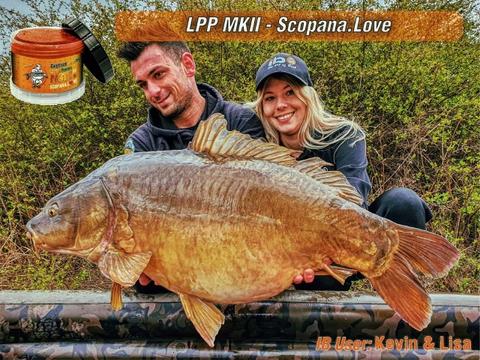 IB CARPTRACK LIQUID-POWDER PASTE MKII - SCOPANA.LOVE