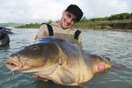 IB CARPTRACK AMINO GEL ELITE STRAWBERRY - 100GR