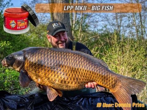 Carica immagine in Galleria Viewer, IB CARPTRACK LIQUID-POWDER PASTE MKII - BIG FISH
