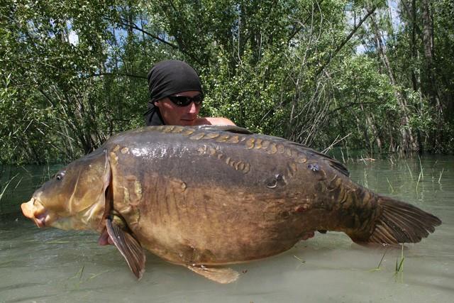 Load image into Gallery viewer, IB CARPTRACK MONSTER LIVER BOILIES
