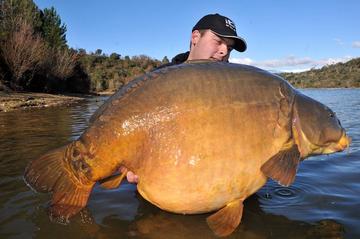 Load image into Gallery viewer, IB CARPTRACK MONSTER-LIVER BOILIE COLD WATER
