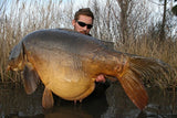 IB BOILIES CARPTRACK BIG FISH
